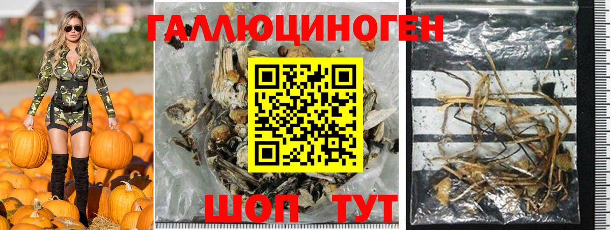 Чебаркуль  Псилоцибиновые грибы ЛСД  Галлюциногенные грибы мухоморы  Вход с VPN 