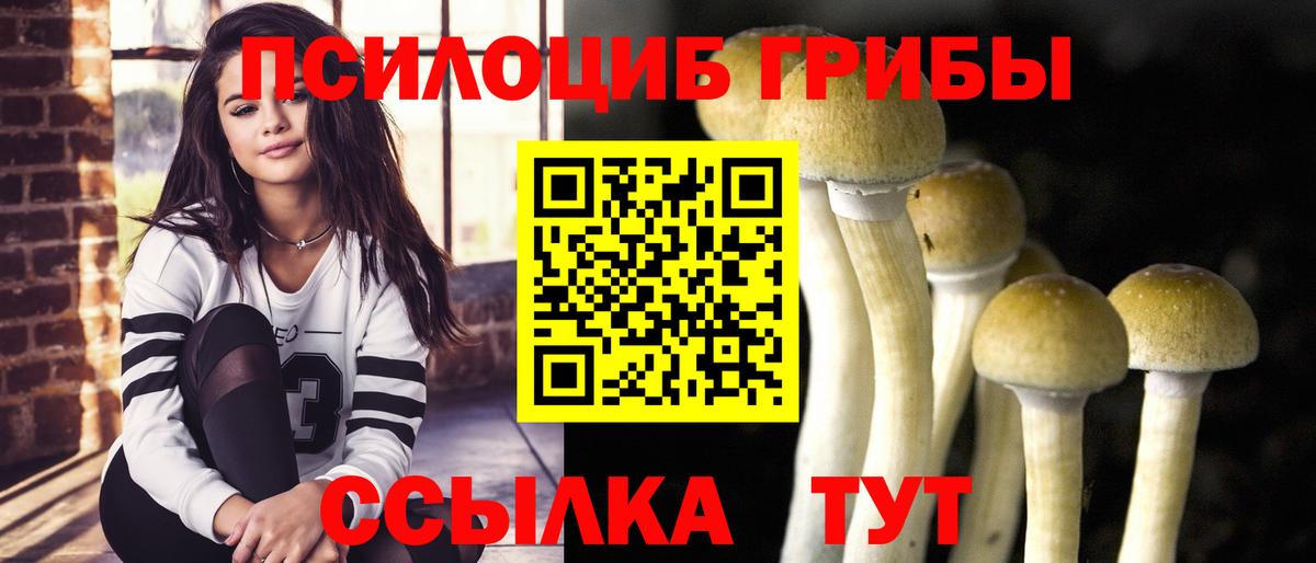 Псилоцибиновые грибы прущие грибы Чебаркуль